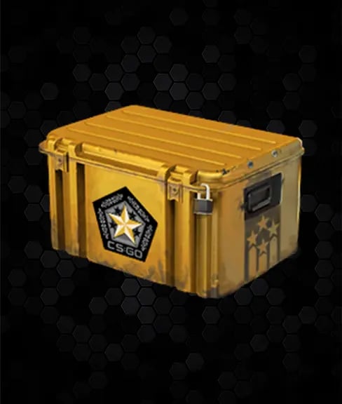 Gamma 2 Case