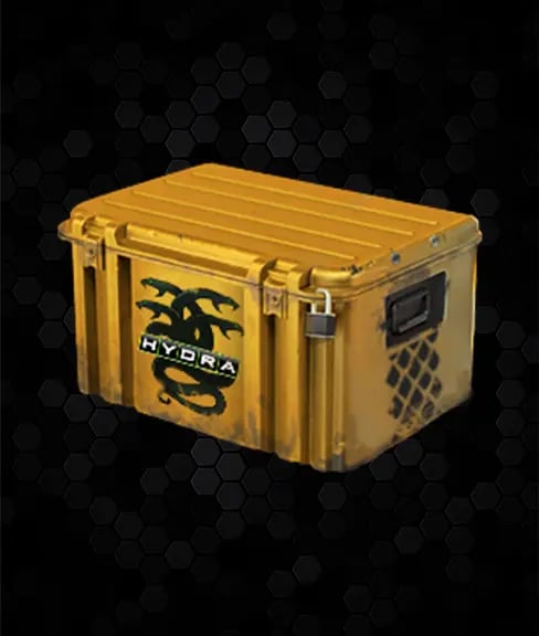 Operation Hydra Case