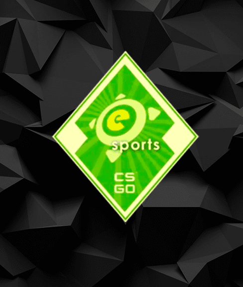 The eSports 2014 Summer Collection