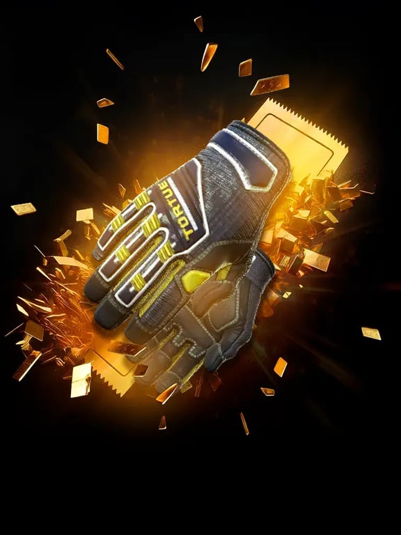 Ticket Case #10
