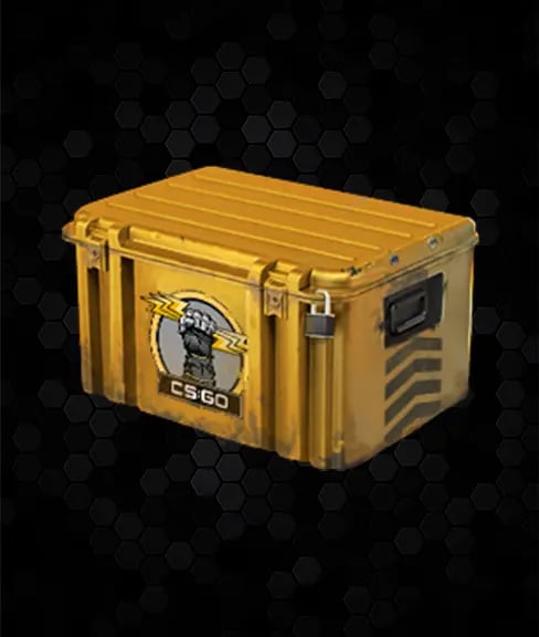 Glove Case
