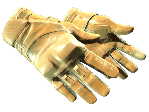 Motorradhandschuhe (★)