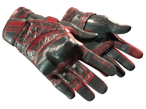 Motorradhandschuhe (★)